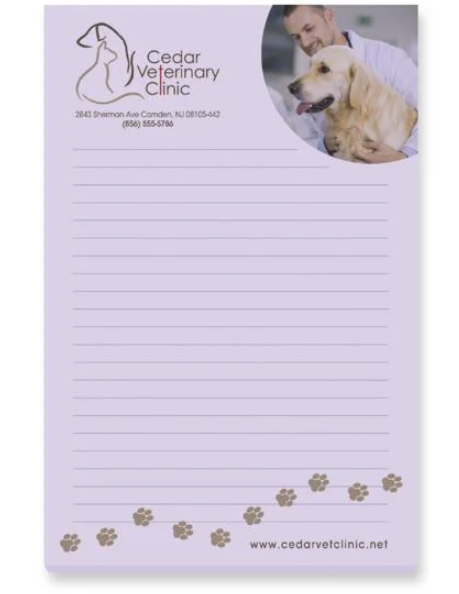 4in x 6in Souvenir Sticky Notes - 25 Sheets
